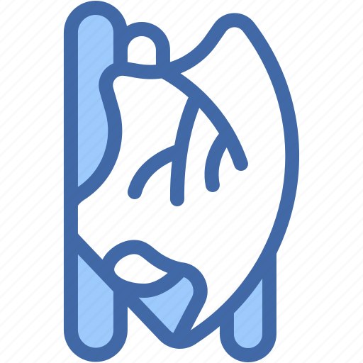 Liver, human, organ, healthcare, and, medical, body icon - Download on Iconfinder