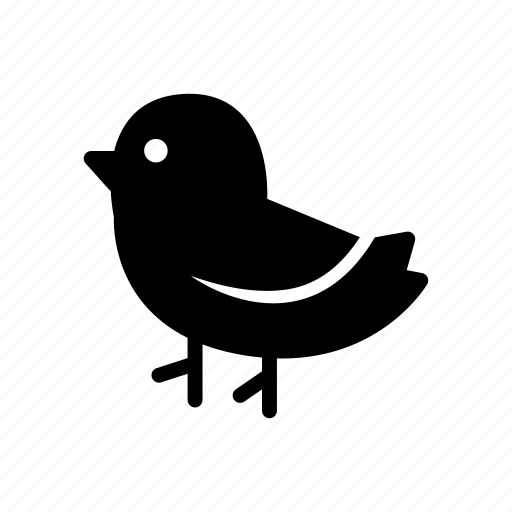 Bird, animal, flapper, baby, nature icon - Download on Iconfinder
