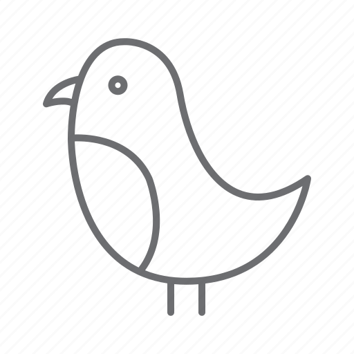 Bird, pet, animal, nature, fly, wild icon - Download on Iconfinder