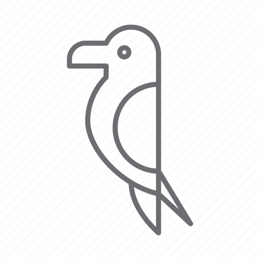 Bird, pet, animal, nature, wild, fly icon - Download on Iconfinder