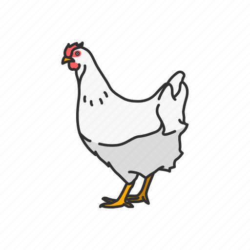 Animal, bird, chicken, cock, domestic animal, galinaceous bird icon - Download on Iconfinder