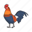 animal, bird, chicken, cock, domestic animal, gallinaceous bird 