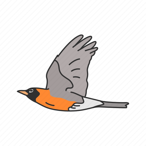 Animal, baltimore oriole, bird, ochre oriole, passerine bird icon - Download on Iconfinder