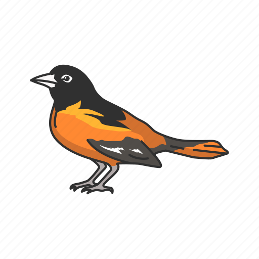 Animal, bird, ochre oriole, orchard oriole, oriole, passerine bird icon - Download on Iconfinder