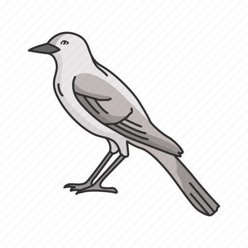 Animal, bird, feather, flying creature, mimic bird, passerine bird, vertebrates icon - Download on Iconfinder