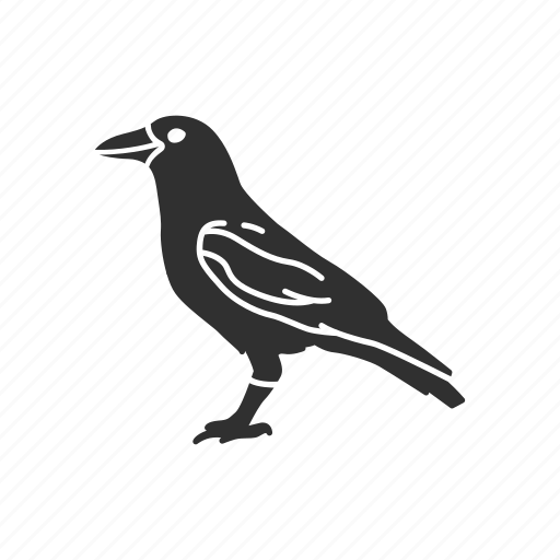 American crow, animal, bird, crow, raven, rook, wings icon - Download on Iconfinder