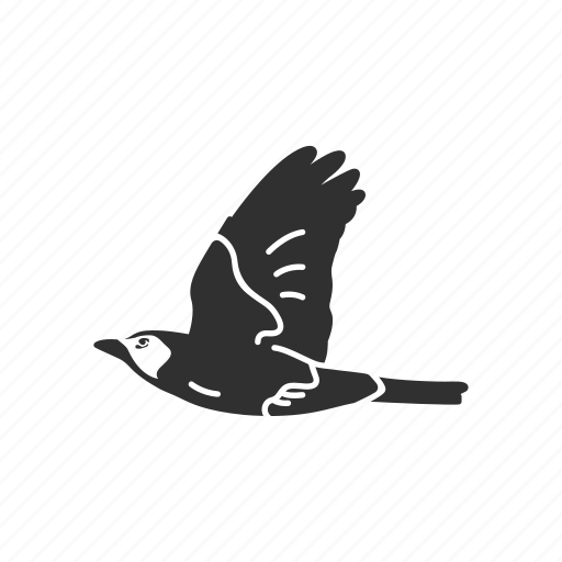 Animal, baltimore oriole, bird, ochre oriole, passerine bird icon - Download on Iconfinder
