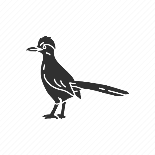 Animals, birds, chaparral cock, flying creature, roadrunner icon - Download on Iconfinder