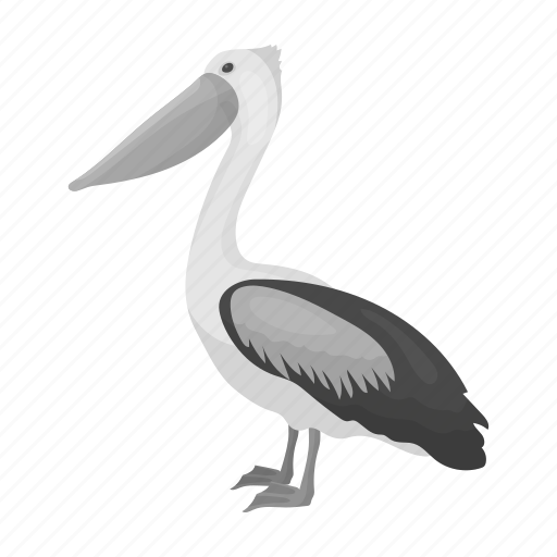 Animal, bird, exotic, feathered, pelican, wild, zoo icon - Download on Iconfinder