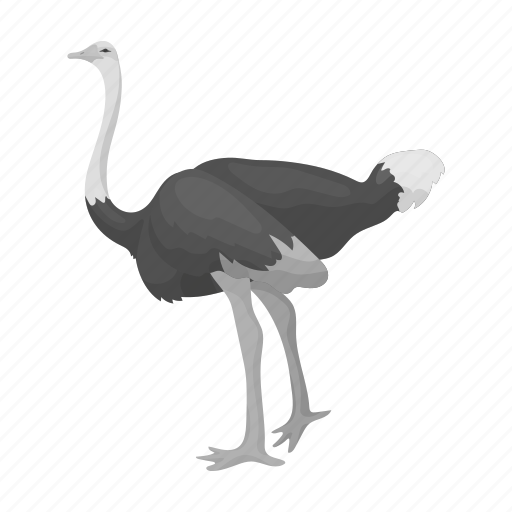 Animal, bird, domestic, exotic, feathered, ostrich, wild icon - Download on Iconfinder