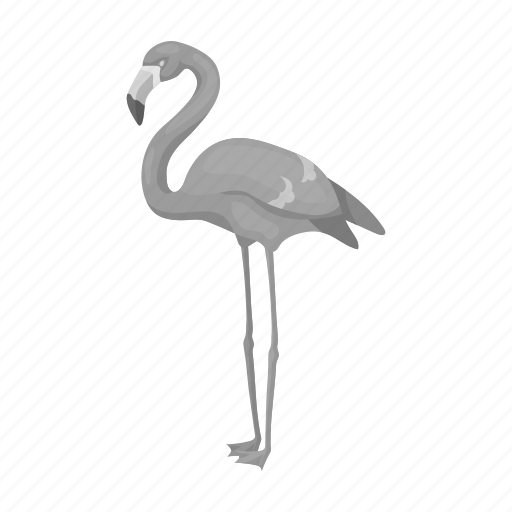 Animal, bird, exotic, feathered, flamingo, pink, wild icon - Download on Iconfinder