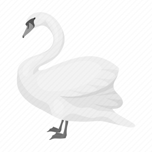 Animal, bird, exotic, feathered, swan, wild, zoo icon - Download on Iconfinder