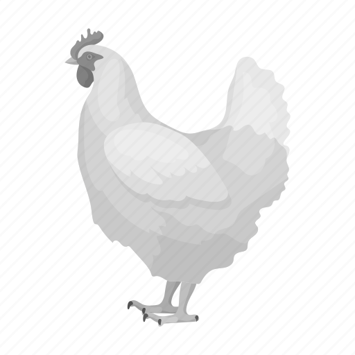 Animal, bird, chicken, domestic, feathered, hen, zoo icon - Download on Iconfinder