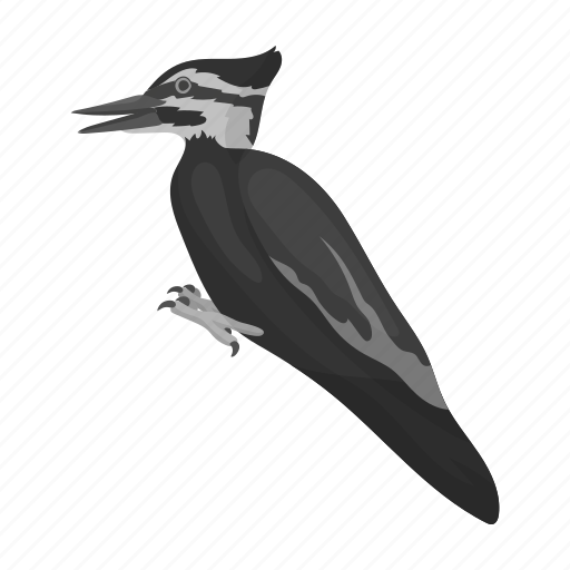 Animal, bird, feathered, wild, woodpecker, zoo icon - Download on Iconfinder