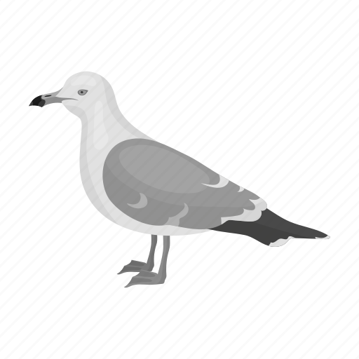 Animal, bird, feathered, sea, seagull, wild, zoo icon - Download on Iconfinder