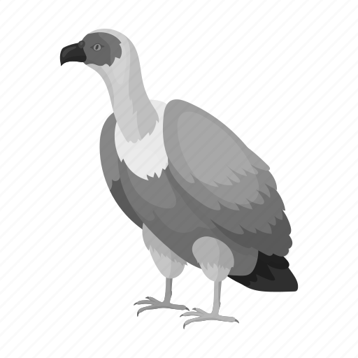 Animal, bird, exotic, feathered, predator, vulture, wild icon - Download on Iconfinder