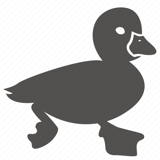 Baby, bird, cute, duck, duckling icon - Download on Iconfinder
