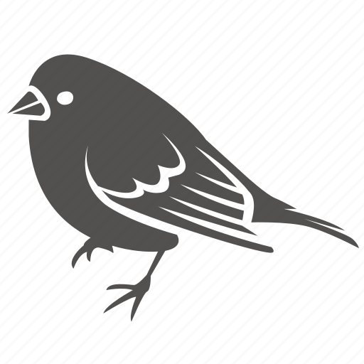 Bird, canary, finch, pet, small, sparrow icon - Download on Iconfinder