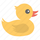 baby duck, cute animal, cute duckling, present, yellow duckling 