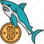 bitcoin, shark, trader, digital, money 