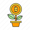 bitcoin, cryptocurrency, growth, invest, money, plant, seed