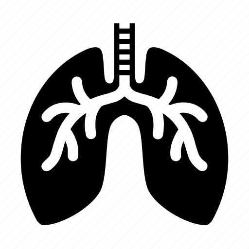 Healthcare, lung, lungs, medical, medicine, organ, pharmacy icon - Download on Iconfinder