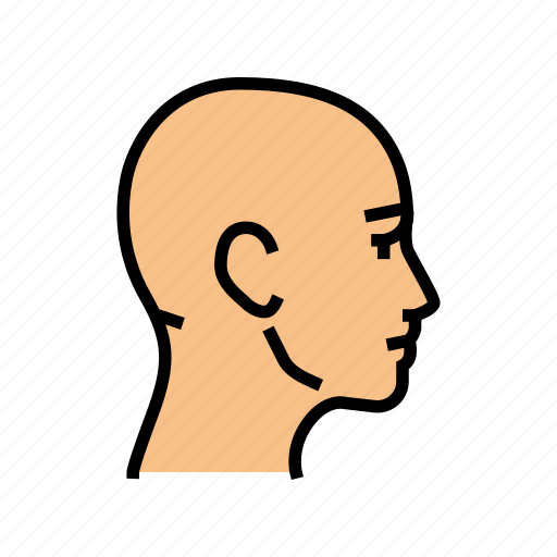 Head, human, body, facial, people, parts icon - Download on Iconfinder