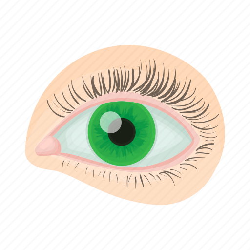Cartoon, eye, eyelash, human, iris, optical, vision icon - Download on Iconfinder