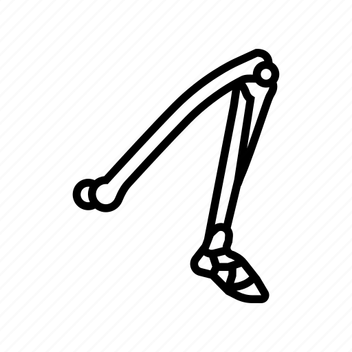 Leg, bone, human, skeleton, structure, arms, body icon - Download on Iconfinder
