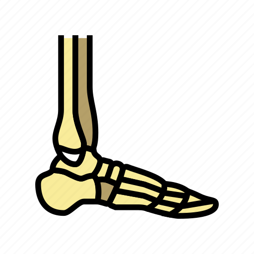Ankle, bone, human, skeleton, structure, arms icon - Download on Iconfinder