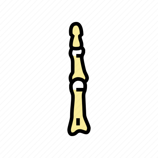 Finger, bone, human, skeleton, structure, arms icon - Download on Iconfinder