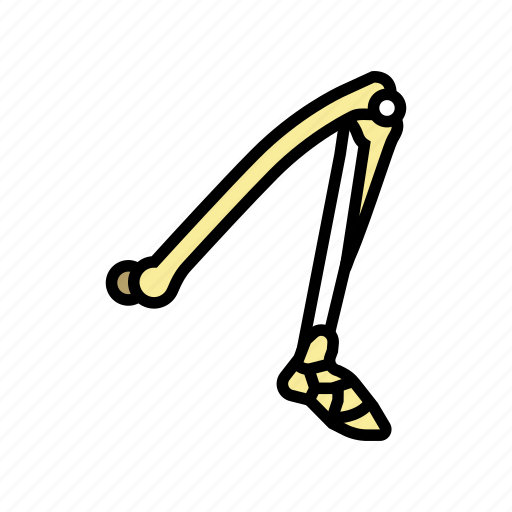 Leg, bone, human, skeleton, structure, arms icon - Download on Iconfinder