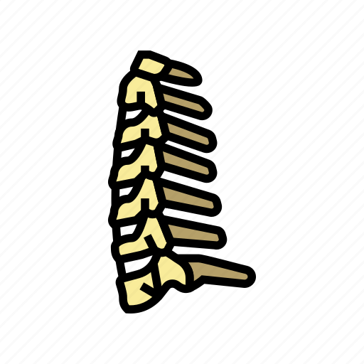 Neck, bone, human, skeleton, structure, arms icon - Download on Iconfinder
