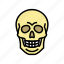 skull, bone, human, skeleton, structure, arms 