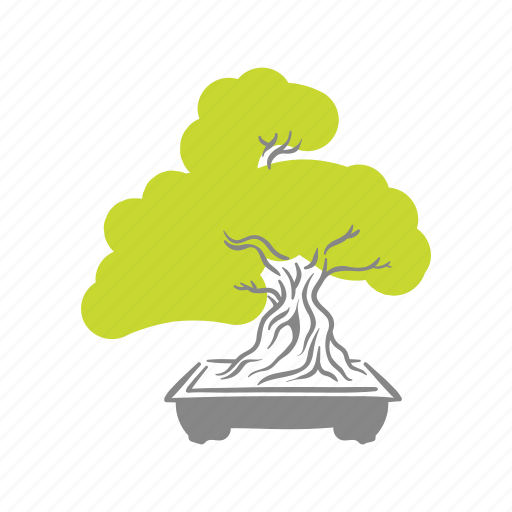 Plant, japanese, bonsai, garden, cultivation, tree, gardening icon - Download on Iconfinder
