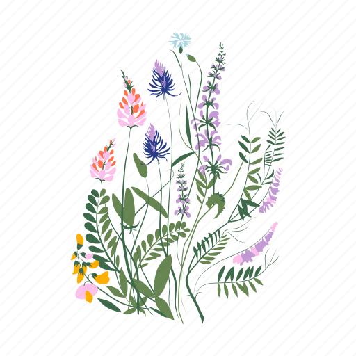 Botanical, posters illustration - Download on Iconfinder