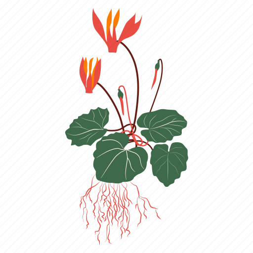 Floral, flower, botanical, garden, nature, spring, bloom illustration - Download on Iconfinder