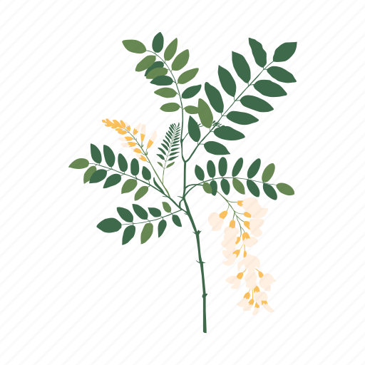 Botanical, posters illustration - Download on Iconfinder