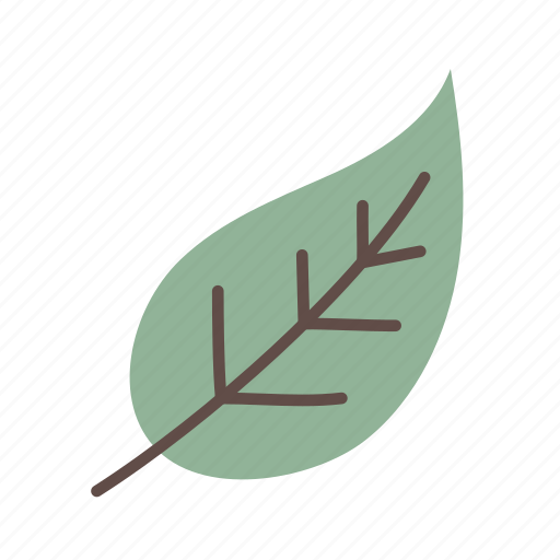 Leaf, foliage, nature, plant, natural icon - Download on Iconfinder