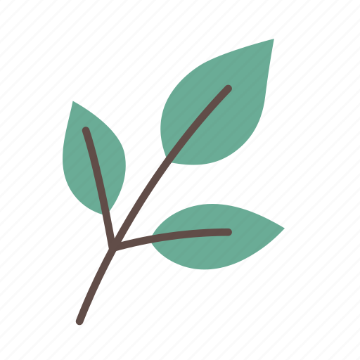 Leaves, botanical, foliage, plant, floral icon - Download on Iconfinder