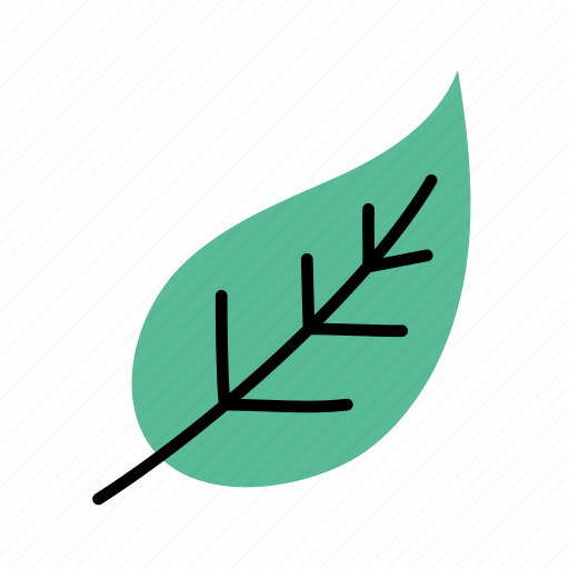 Leaf, foliage, nature, plant, natural icon - Download on Iconfinder