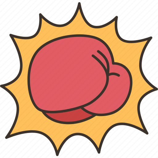 Knockout, boxing, punch, fight, winner icon - Download on Iconfinder