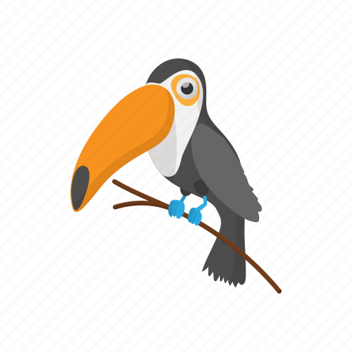 Beak, brazil, cartoon, exotic, toucan, tropical, wildlife icon - Download on Iconfinder