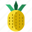 brazil, fruit, pineapple, tropical 