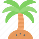 palm, beach, summer, tree, nature