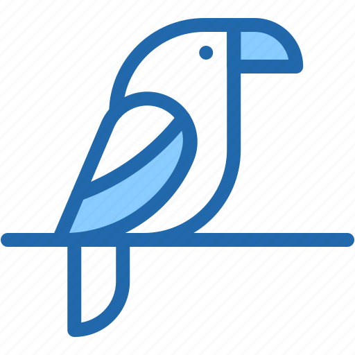 Parrot, wildlife, bird, nature, parakeet, animals icon - Download on Iconfinder