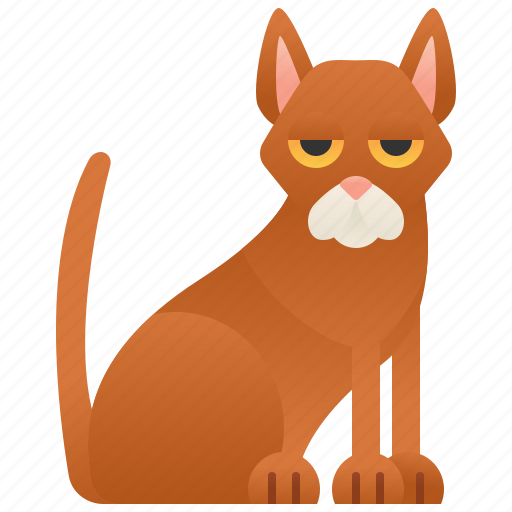 Abyssinian, brown, cat, domestic, purebred icon - Download on Iconfinder