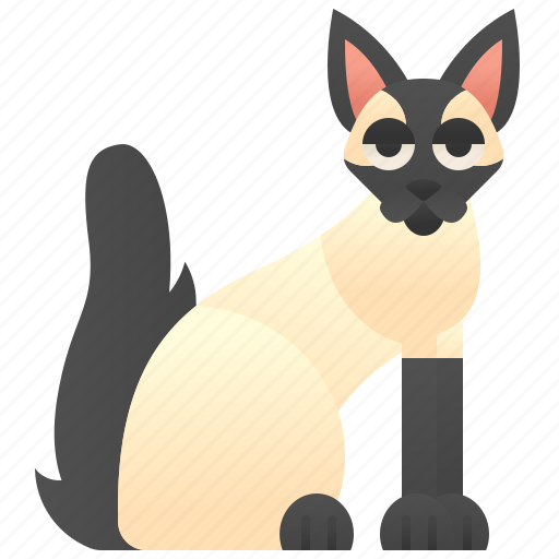 Adorable, balinese, cat, feline, fluffy icon - Download on Iconfinder