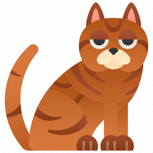British, brown, cat, pedigree, shorthair icon - Download on Iconfinder