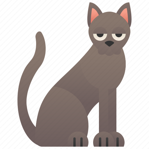 Brown, cat, chocolate, cute, havana icon - Download on Iconfinder